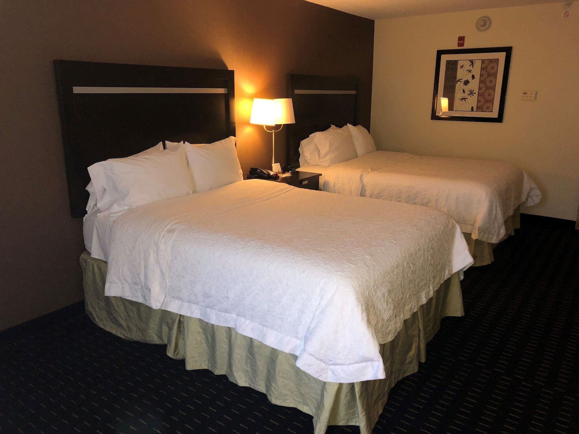Hampton Inn Jericho - Westbury 외부 사진